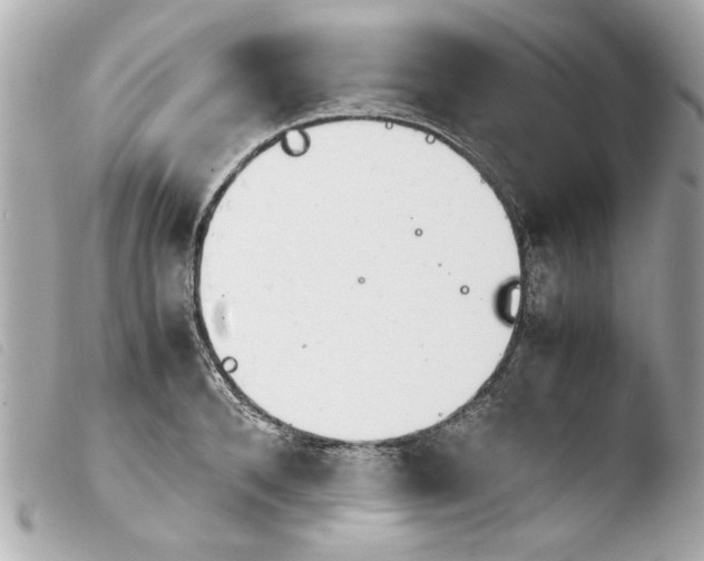 X0000103900896200810031146