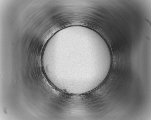 X0000103900898200810031146