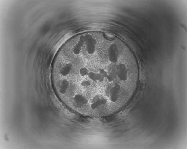 X0000103900899200810031146