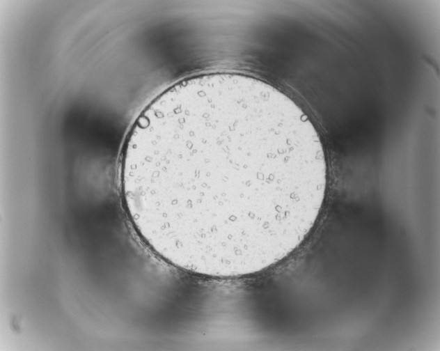 X0000103900900200810031146