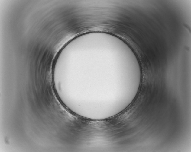 X0000103900902200810031146