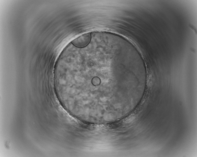 X0000103900903200810031146