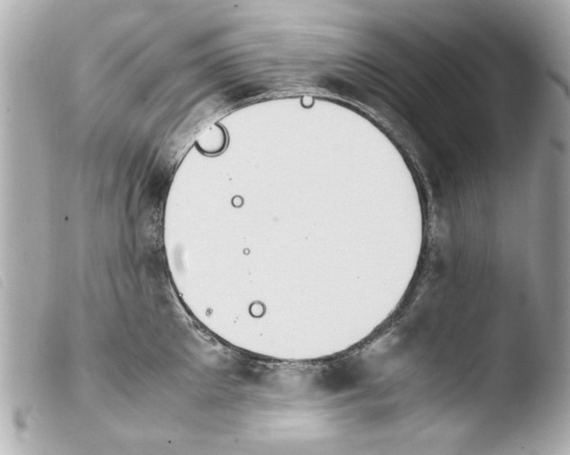 X0000103900905200810031146