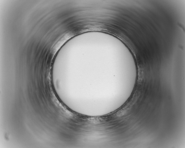 X0000103900906200810031146