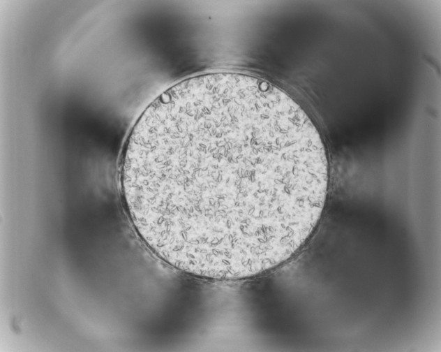 X0000103900908200810031146