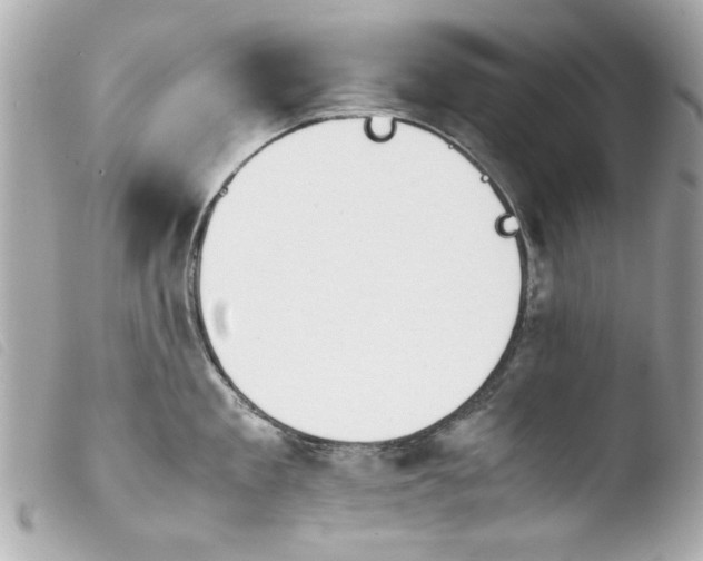 X0000103900909200810031146