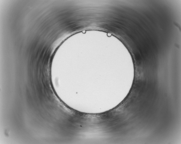 X0000103900910200810031146