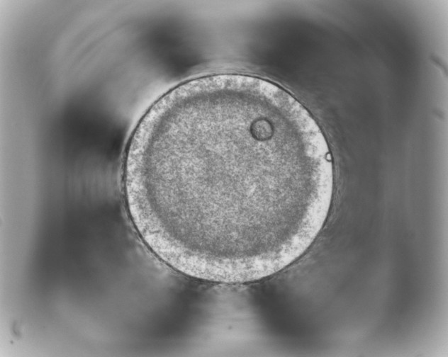 X0000103900912200810031146