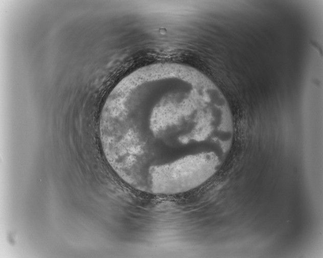 X0000103900913200810031145