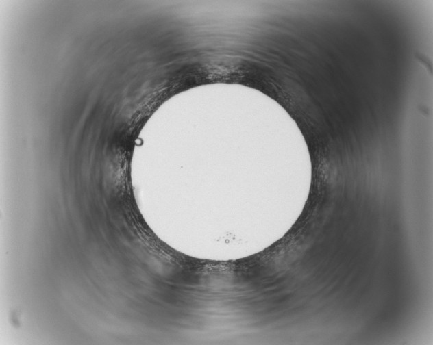 X0000103900914200810031145