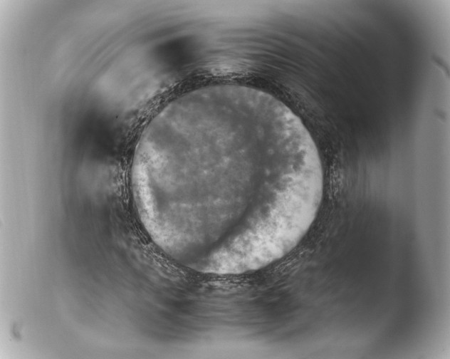 X0000103900917200810031145