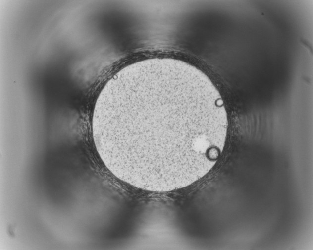 X0000103900918200810031145