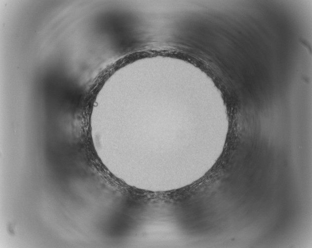 X0000103900920200810031145