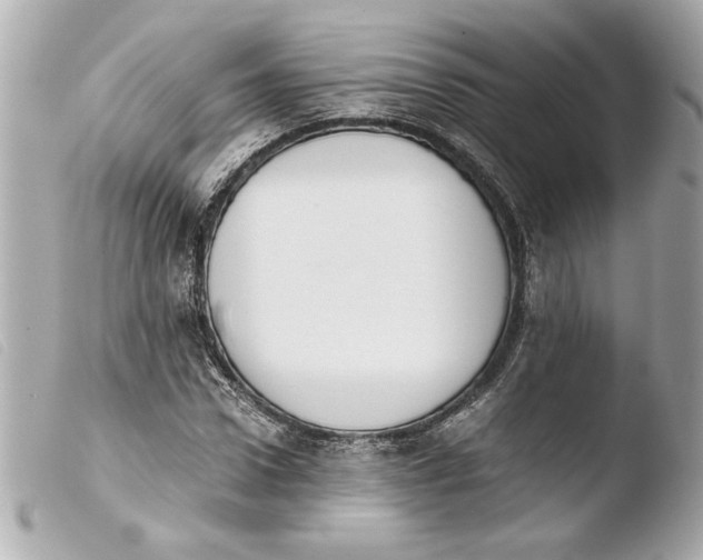 X0000103900922200810031145