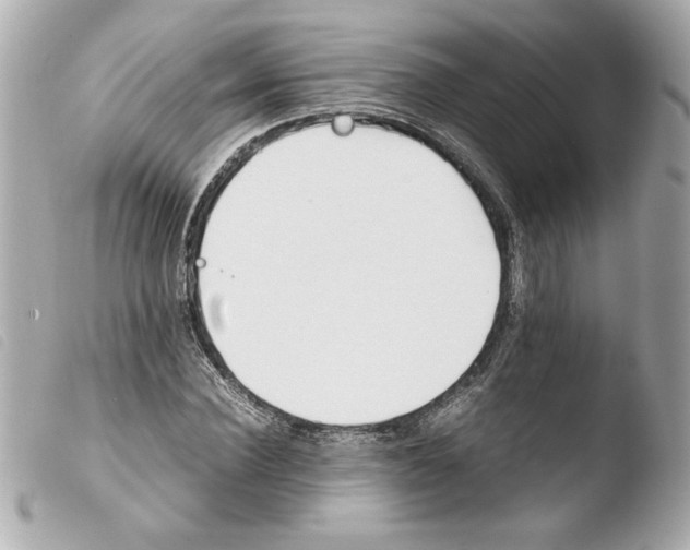 X0000103900924200810031145