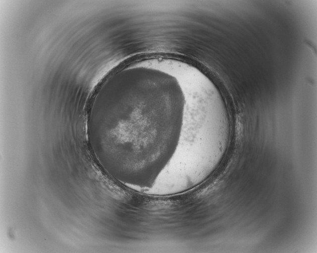 X0000103900925200810031145