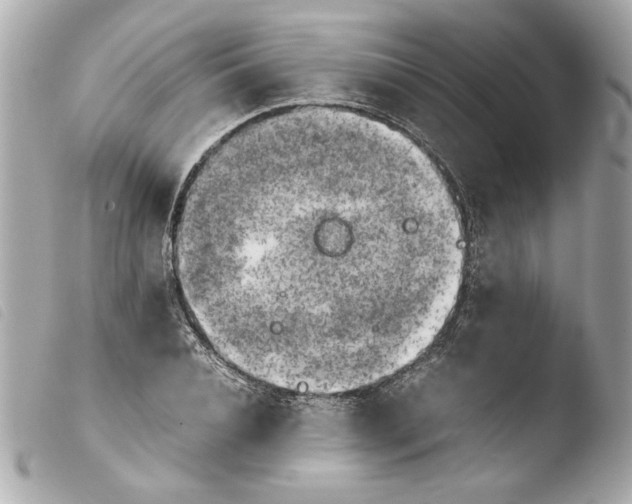 X0000103900928200810031145