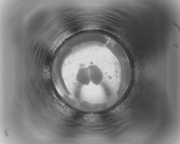 X0000103900929200810031145