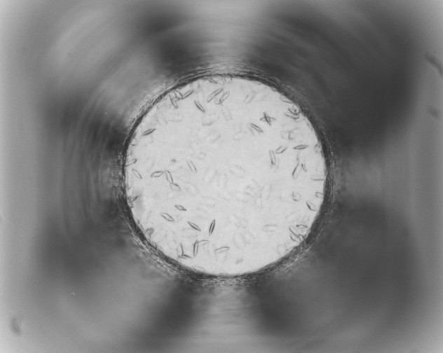 X0000103900930200810031145