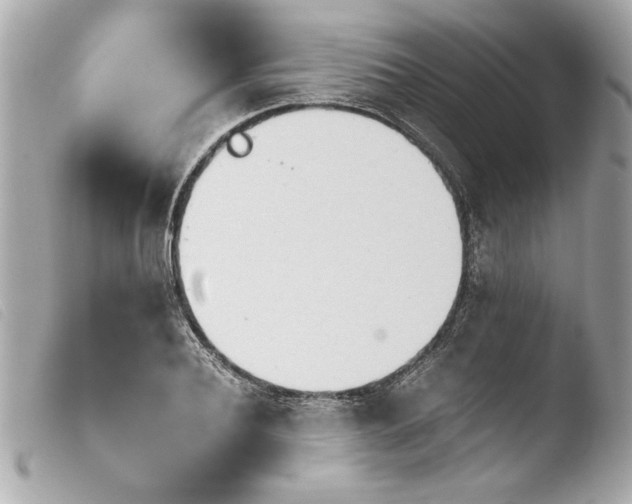 X0000103900932200810031145