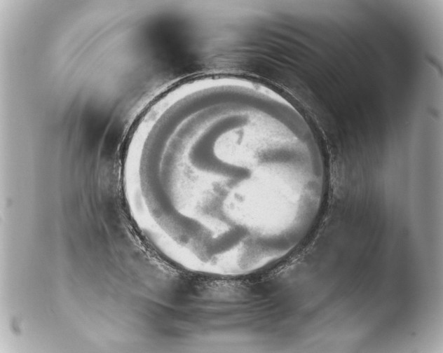 X0000103900933200810031145