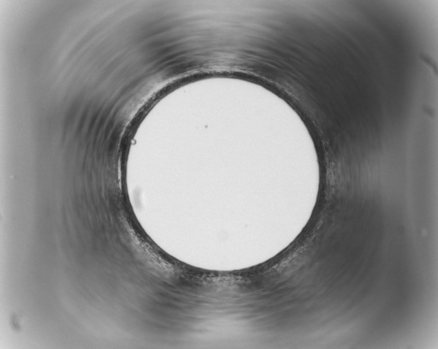 X0000103900934200810031145