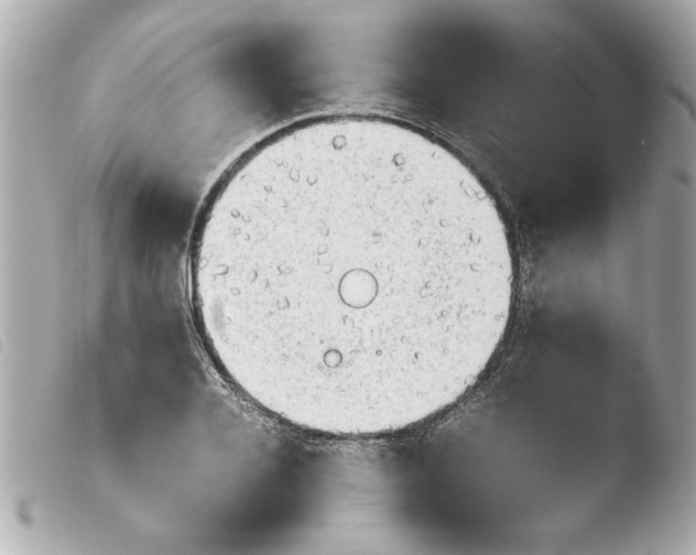 X0000103900936200810031145