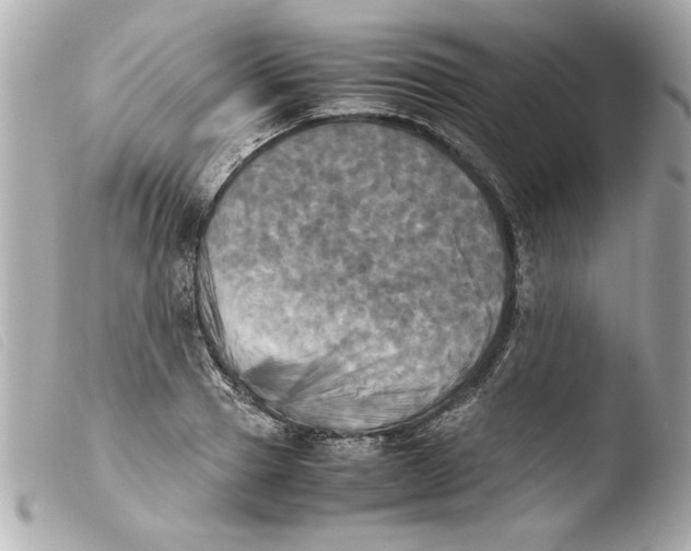 X0000103900937200810031145