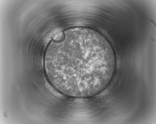 X0000103900938200810031145