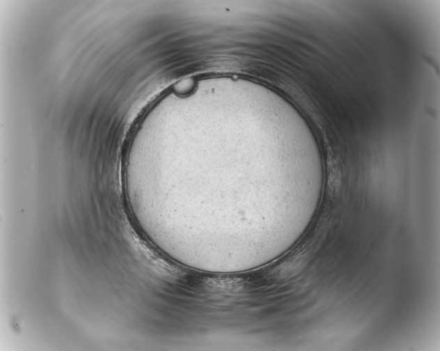 X0000103900939200810031145