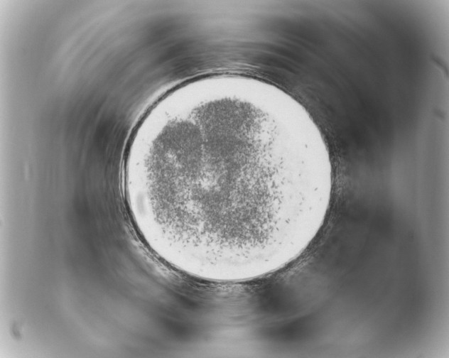 X0000103900940200810031145