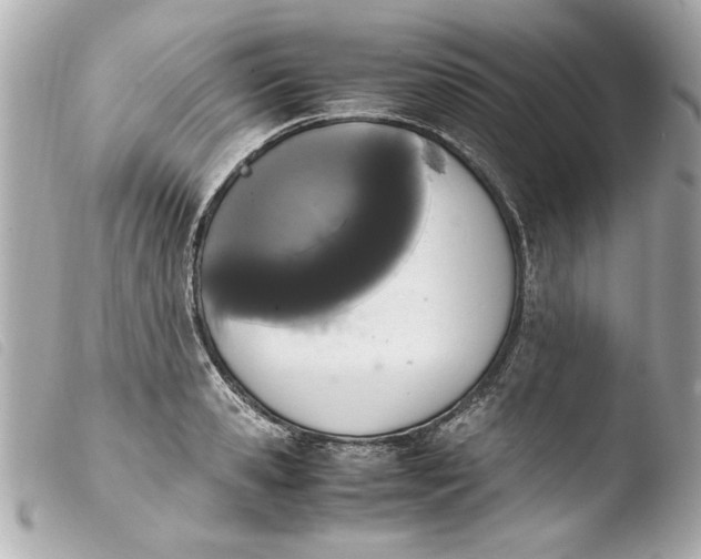 X0000103900941200810031145