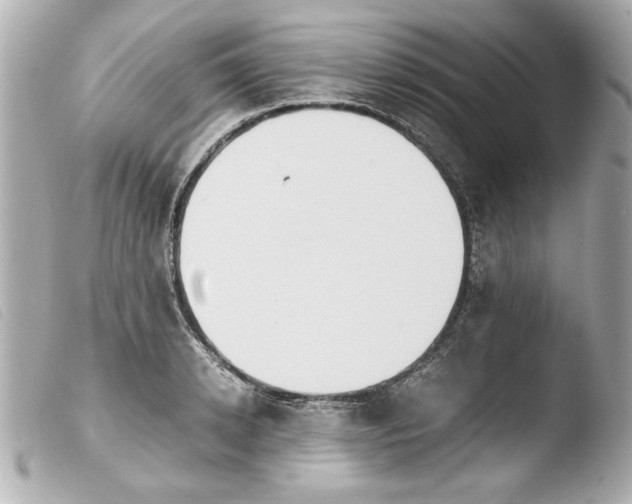 X0000103900942200810031145