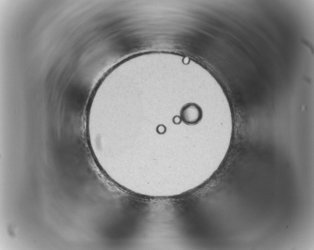 X0000103900944200810031145