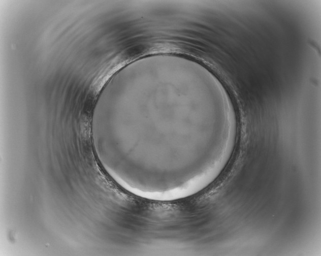 X0000103900945200810031145