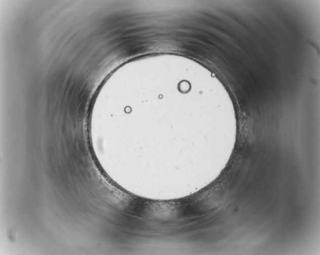 X0000103900947200810031146