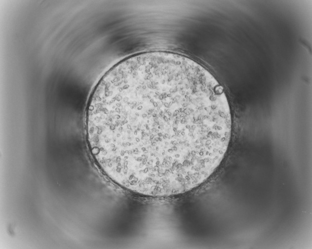 X0000103900948200810031146