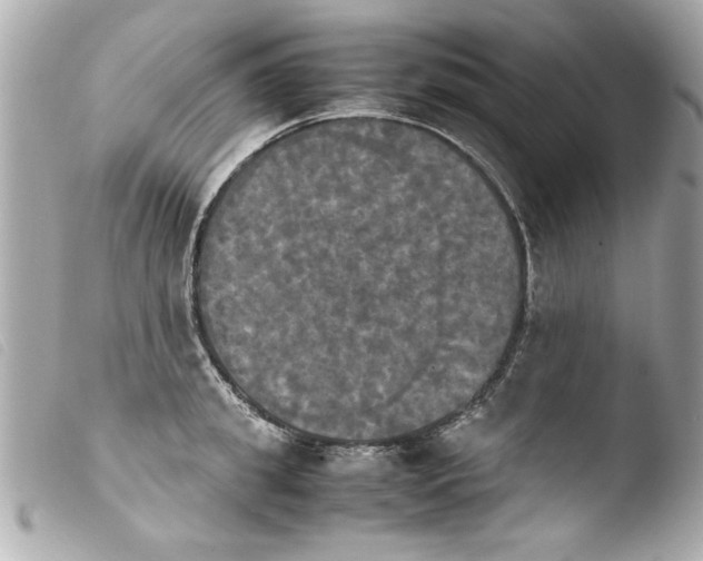 X0000103900949200810031146