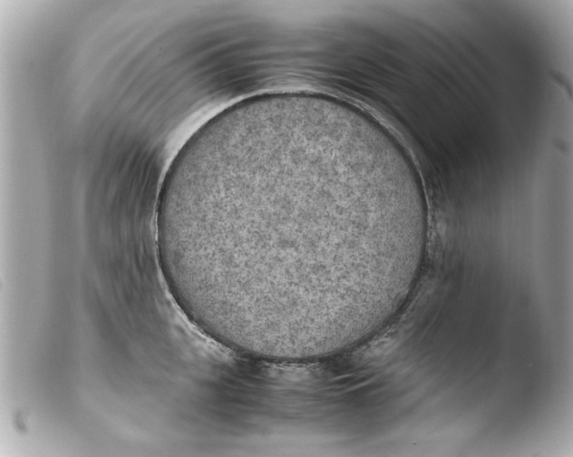 X0000103900951200810031146