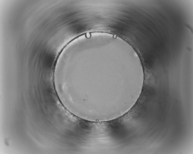 X0000103900952200810031146