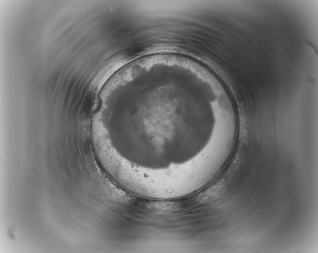 X0000103900953200810031146