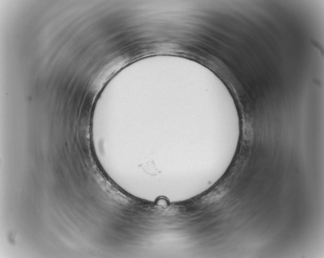 X0000103900954200810031146