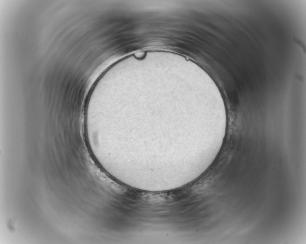 X0000103900955200810031146