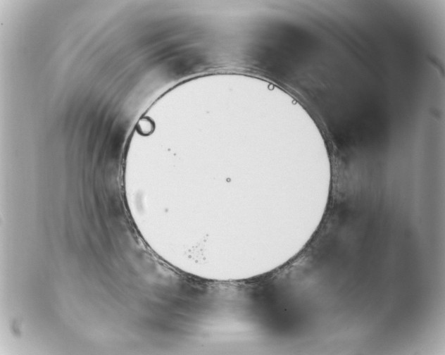 X0000103900956200810031146