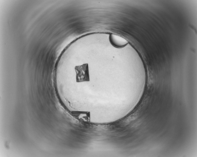 X0000103900958200810031146