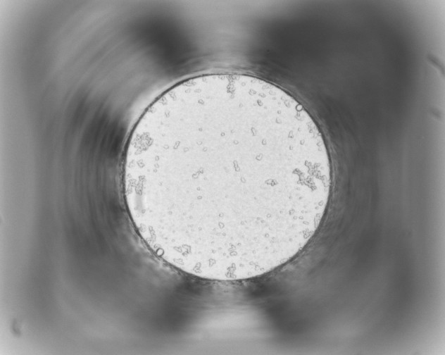 X0000103900960200810031146