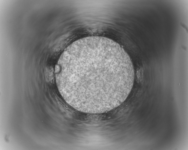 X0000103900963200810031145