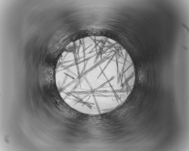 X0000103900964200810031145