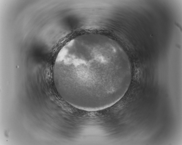 X0000103900966200810031145