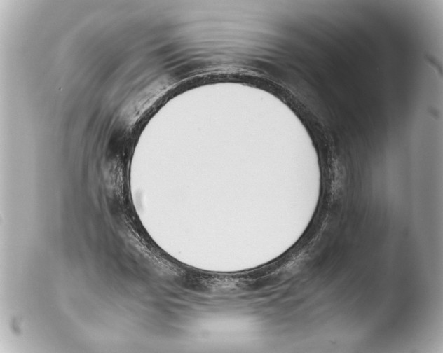 X0000103900969200810031145